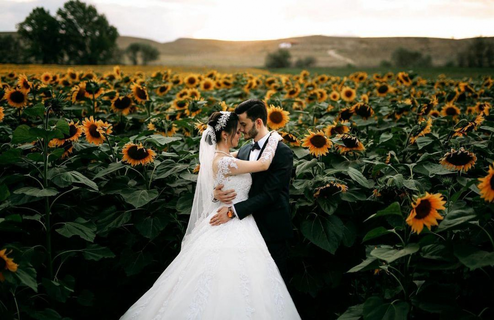 Cihan Kurban Tarafından Çekilmiş Fotoğraf